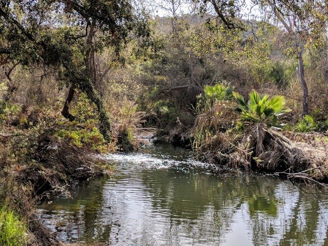 Penasquitos Creek Park