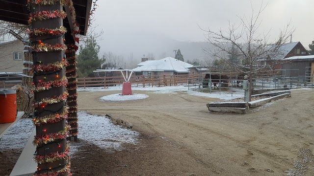 Pine Mountain Club Stables