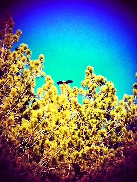 Willard's Sport Shop