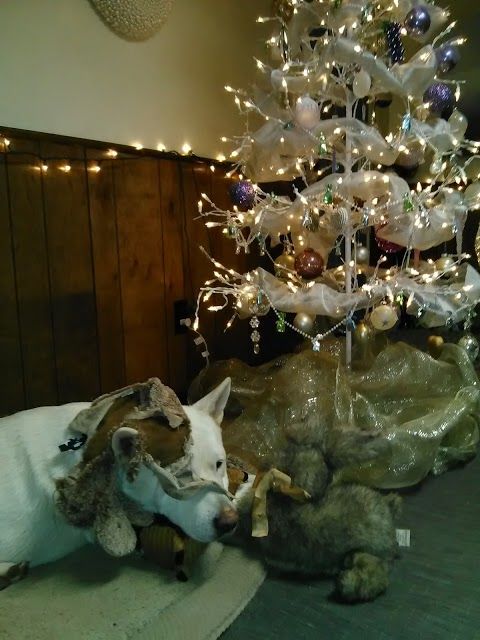 Westhaven Center For the Arts