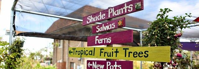 City Farmers Nursery