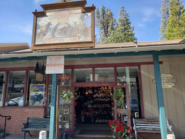 Timberline In the Glen