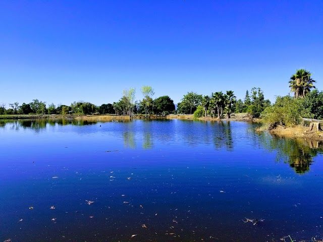 Penitencia Creek Park