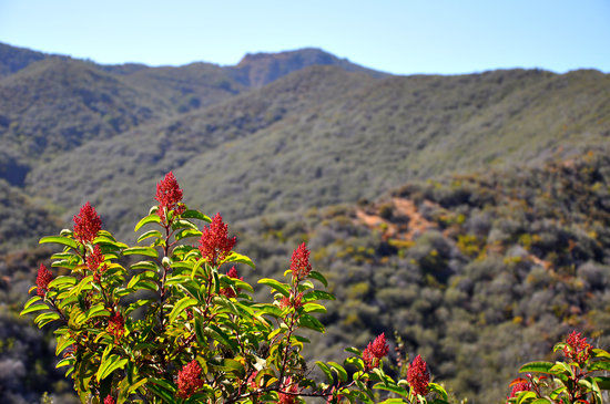 Will Rogers State Historic Park