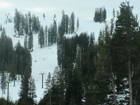 Tahoe Donner