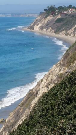 Douglas Family Preserve