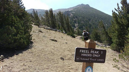 Freel Peak