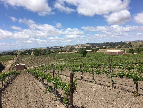 Hansen Vineyard & Winery