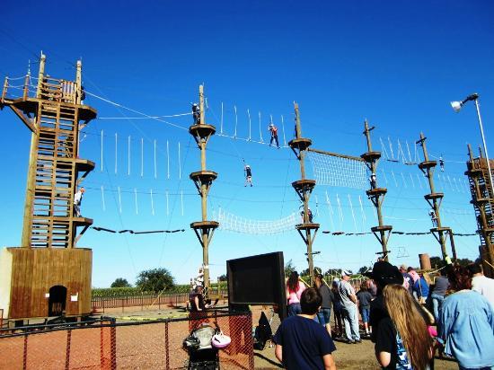 Dell'Osso Family Farms