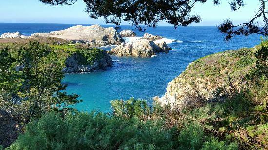 Point Lobos State Natural Reserve