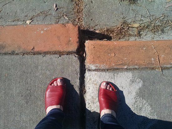 Hayward Fault Exposed