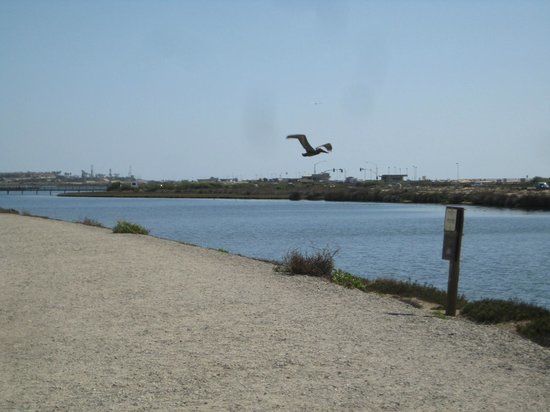 Bolsa Chica Ecological Reserve