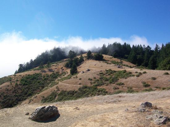 Mount Tamalpais State Park
