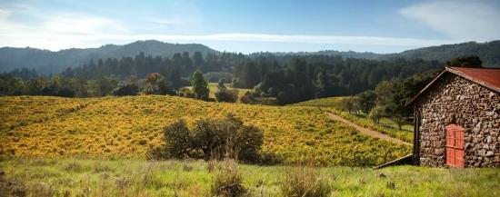 Jack London State Historic Park