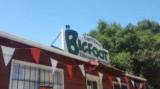 Bigfoot Discovery Museum