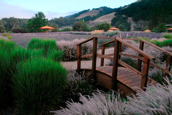 Matanzas Creek Winery
