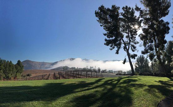 Orfila Vineyards and Winery