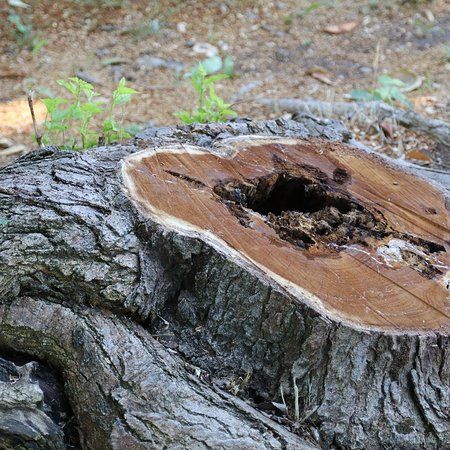 Hagan Community Park