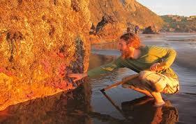 Steep Ravine Hot Springs