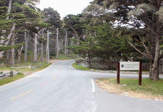 Cypress Point Lookout